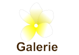 Galerie