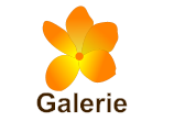 Galerie